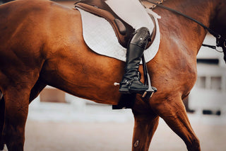 Botte cavalière femme